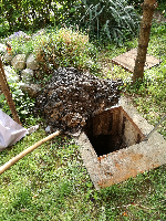 Zaštopana kanalizacija sa vlažnim maramicama