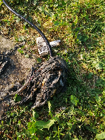 Vlažne maramice i osvježivač cijevi