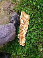 Masni čep iz cijevi